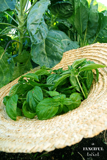 October Treats 15 October Treats 15