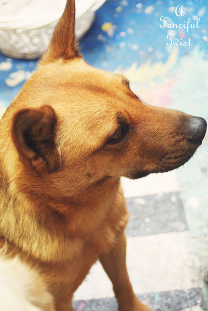 Good day 12 Good day 12