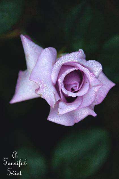 Good day 8 Good day 8