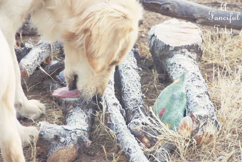 Good day 19 Good day 19