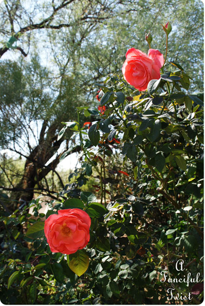 Peaceful 2 Peaceful 2