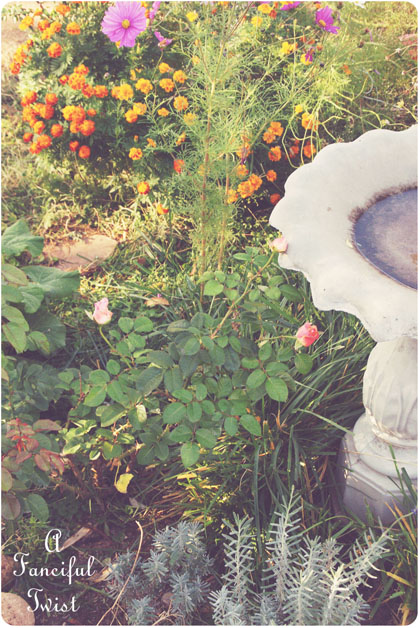 Peaceful 10 Peaceful 10