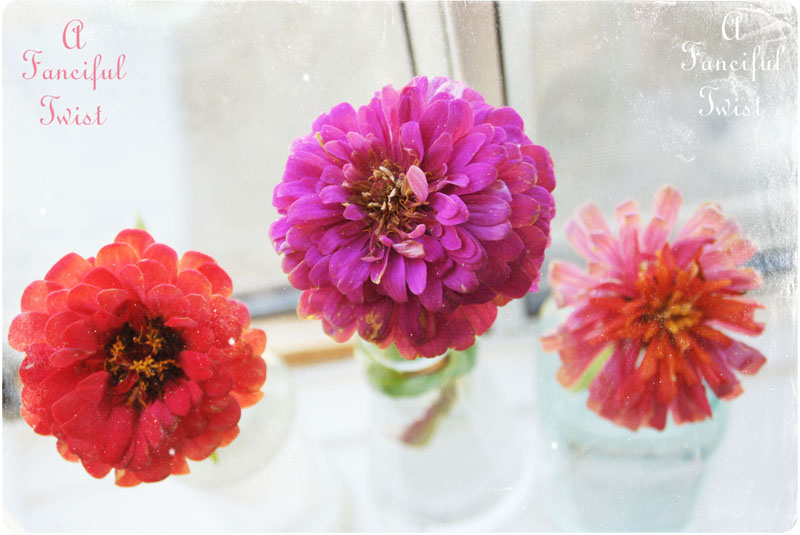 Peaceful 5 Peaceful 5