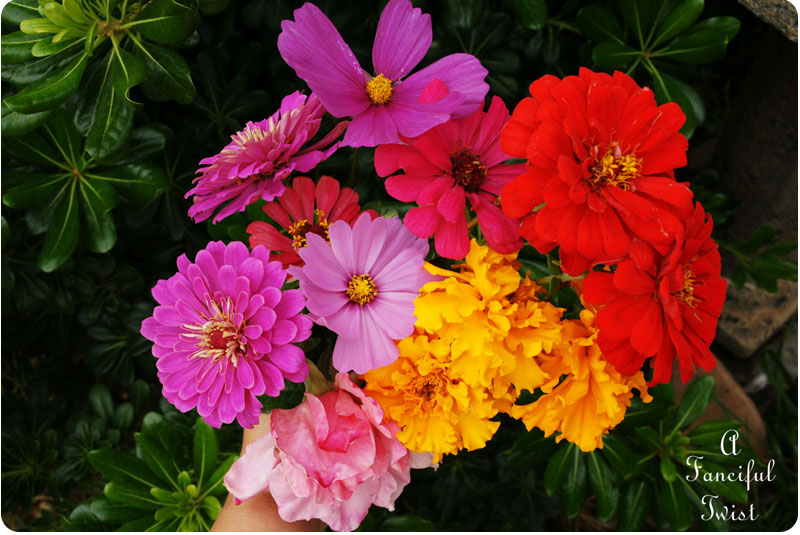 Lovely day 9 Lovely day 9