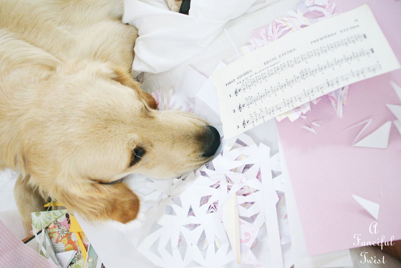 Paper snowflakes 21a Paper snowflakes 21a