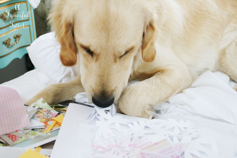 Paper snowflakes 19a Paper snowflakes 19a