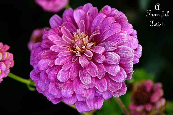 Good day 16 Good day 16