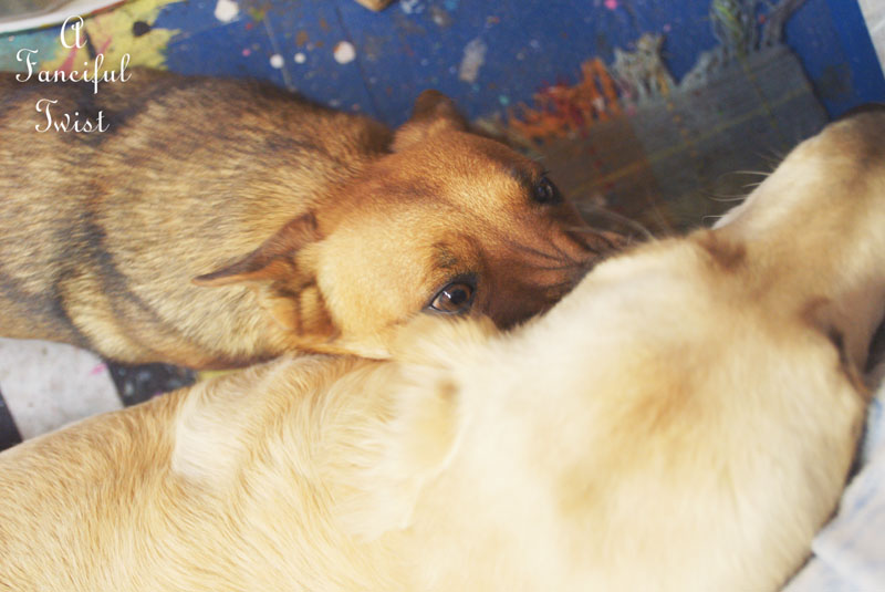 Good day 11 Good day 11