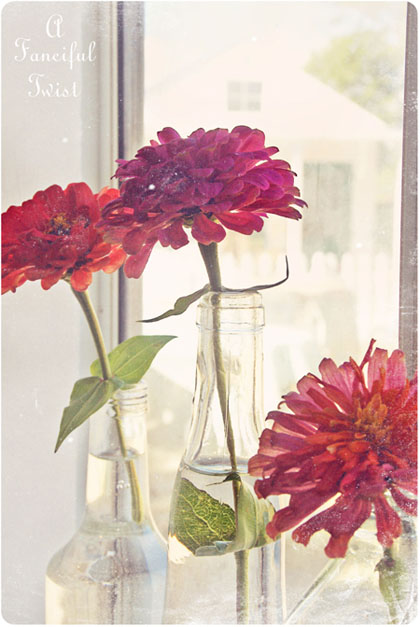 Peaceful 6 Peaceful 6