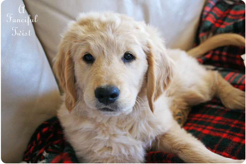 Miles February 2011 Miles February 2011