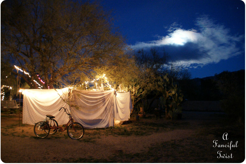 Gypsy evenings 1 Gypsy evenings 1
