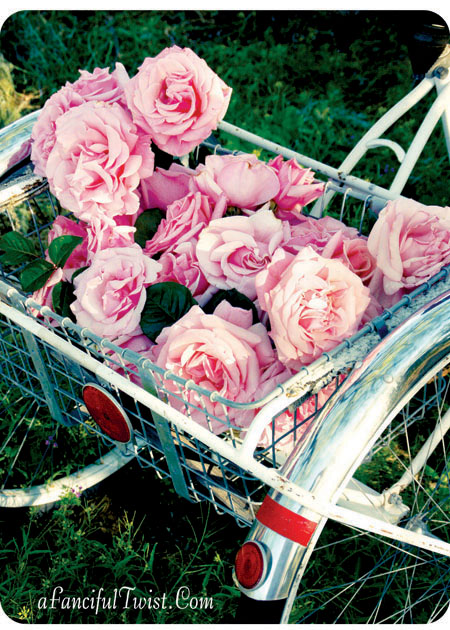 Roses front Roses front