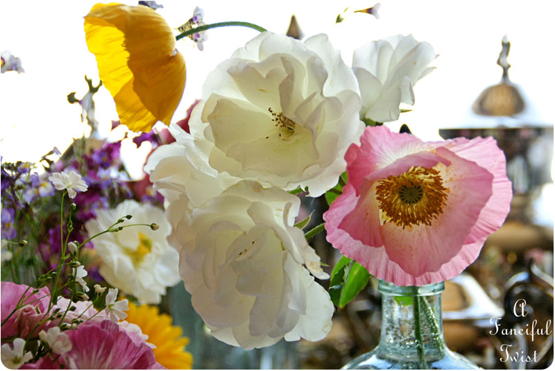 Blooms from the garden 3 Blooms from the garden 3