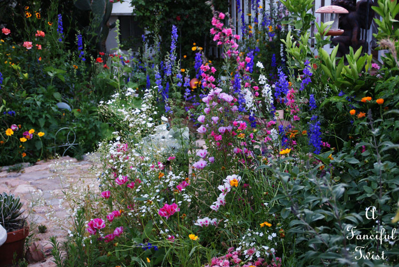 Garden thoughts 15 Garden thoughts 15