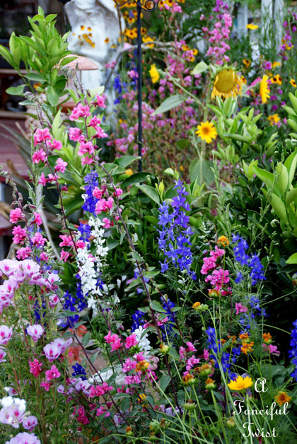 Garden thoughts 3 Garden thoughts 3