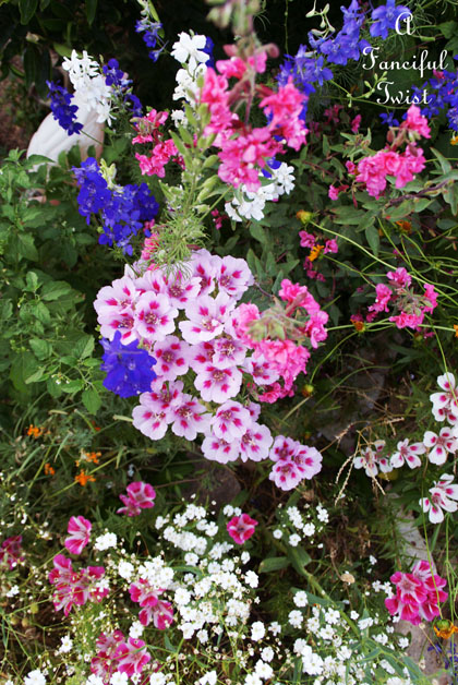 Garden thoughts 17 Garden thoughts 17