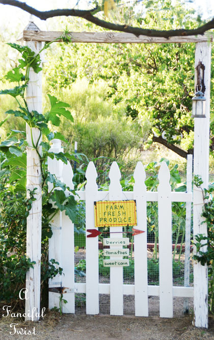 Vegetable garden 10 Vegetable garden 10