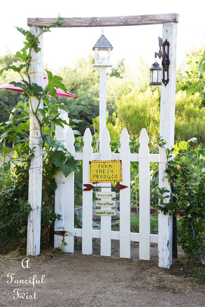 Vegetable garden 12 Vegetable garden 12