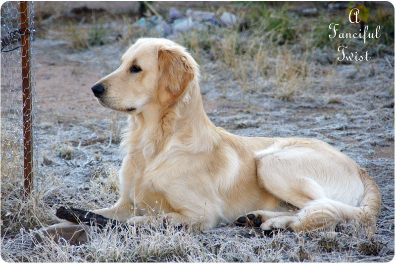 Miles December 2011 1 Miles December 2011 1