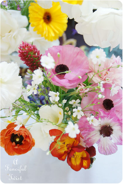 Blooms from the garden 9 Blooms from the garden 9