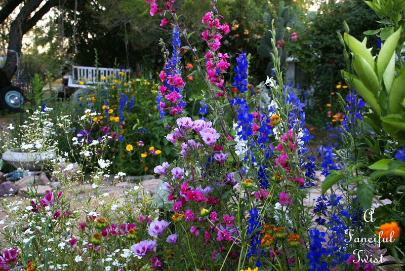 Garden thoughts 1 Garden thoughts 1