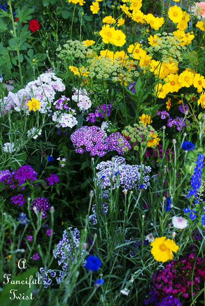Garden thoughts 2 Garden thoughts 2