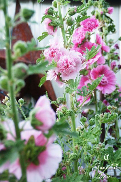 Spring garden 17a Spring garden 17a