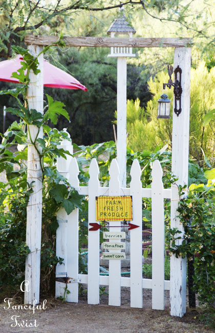 Vegetable garden 14 Vegetable garden 14