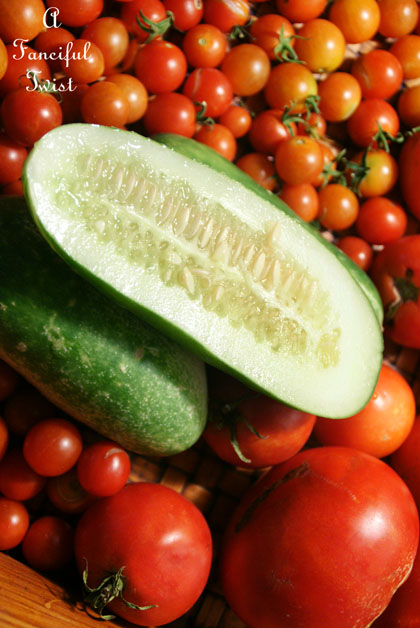 Tomatoes in the garden 4 Tomatoes in the garden 4