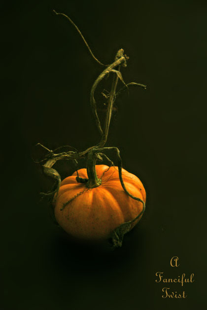 Pumpkin patch 4 Pumpkin patch 4