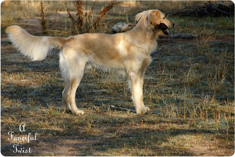 Miles December 2011 5 Miles December 2011 5