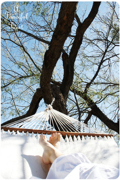 Hammock days 10a Hammock days 10a