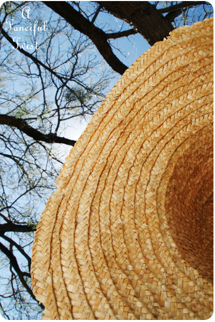 Hammock days 9a Hammock days 9a