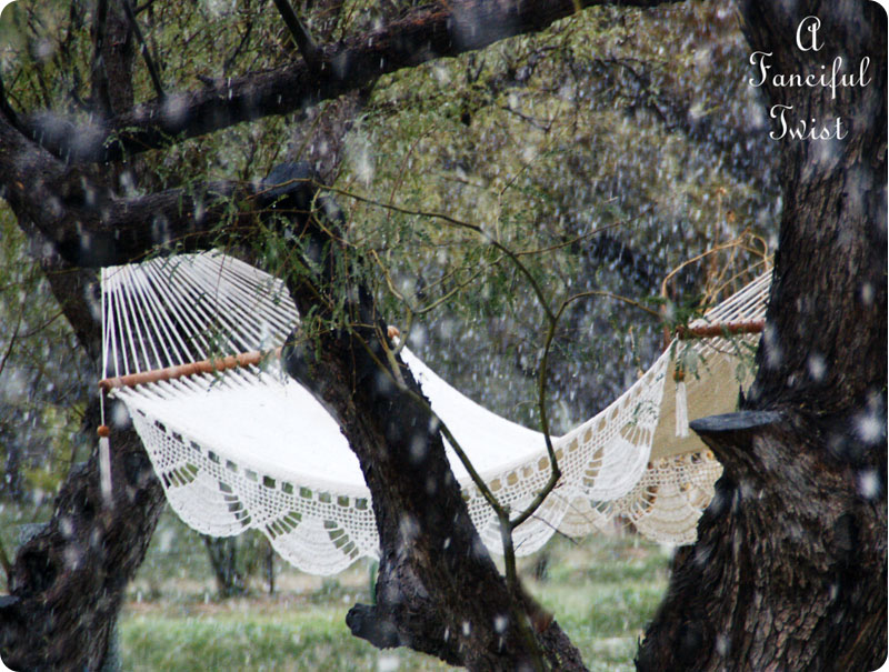 Hammock days 15a Hammock days 15a