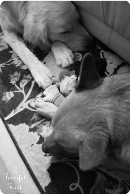 Matty and Miles 4 Matty and Miles 4