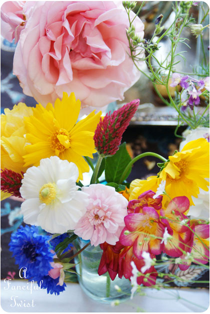 Blooms from the garden 6 Blooms from the garden 6