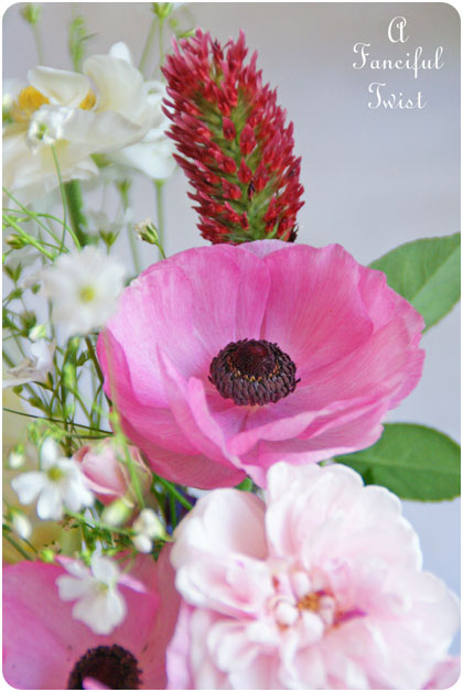 Blooms from the garden 10 Blooms from the garden 10