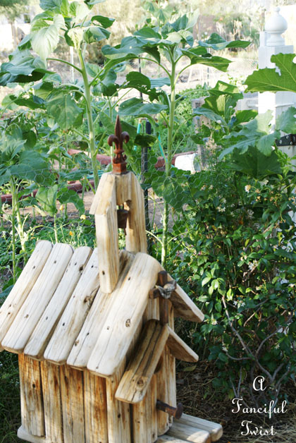 Vegetable garden 29 Vegetable garden 29