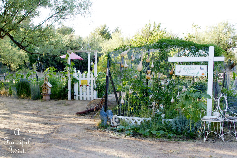 Vegetable garden 7 Vegetable garden 7