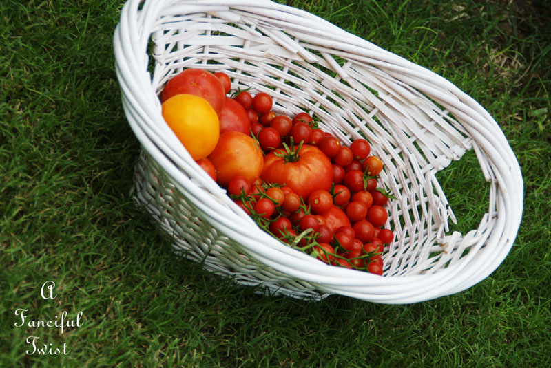 Summer vegetables 1 Summer vegetables 1