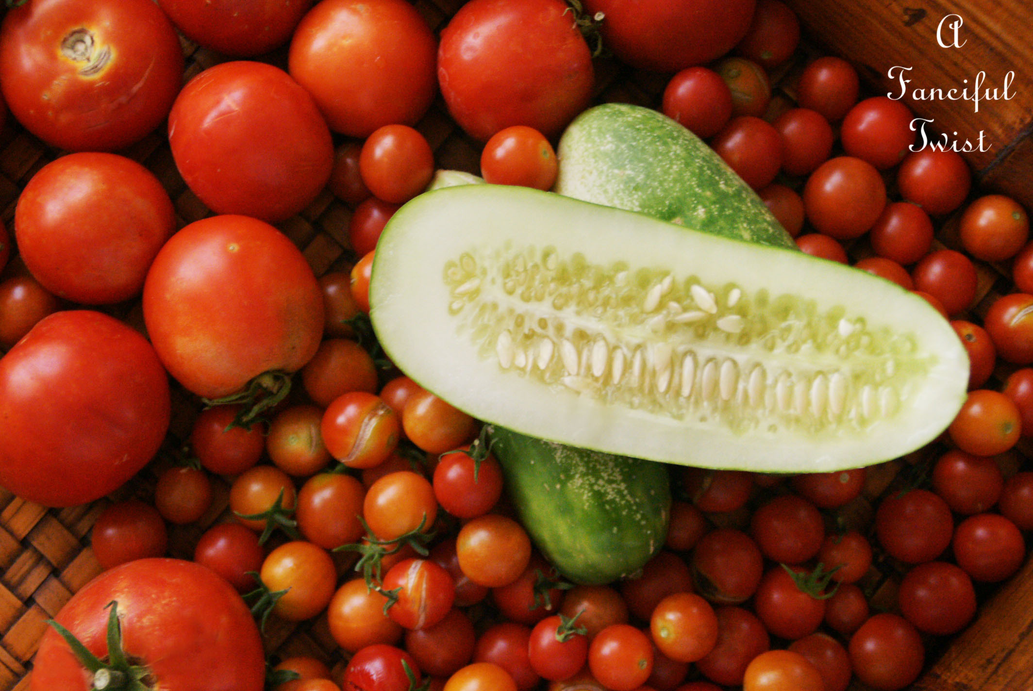 Tomatoes in the garden 5 Tomatoes in the garden 5