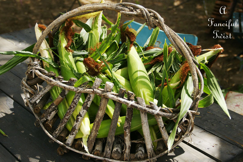 Corn in the garden 2 Corn in the garden 2