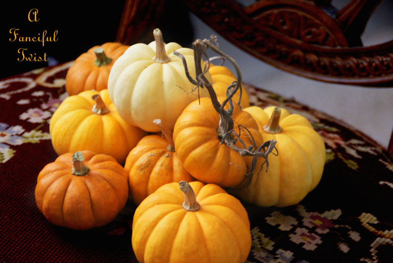 Pumpkin patch 9 Pumpkin patch 9
