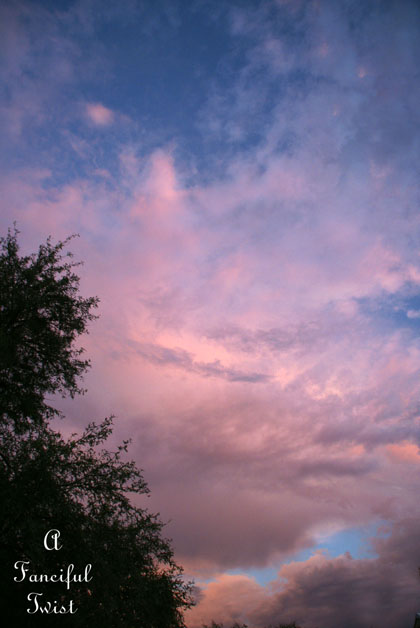Michelangelo Skies 7 Michelangelo Skies 7
