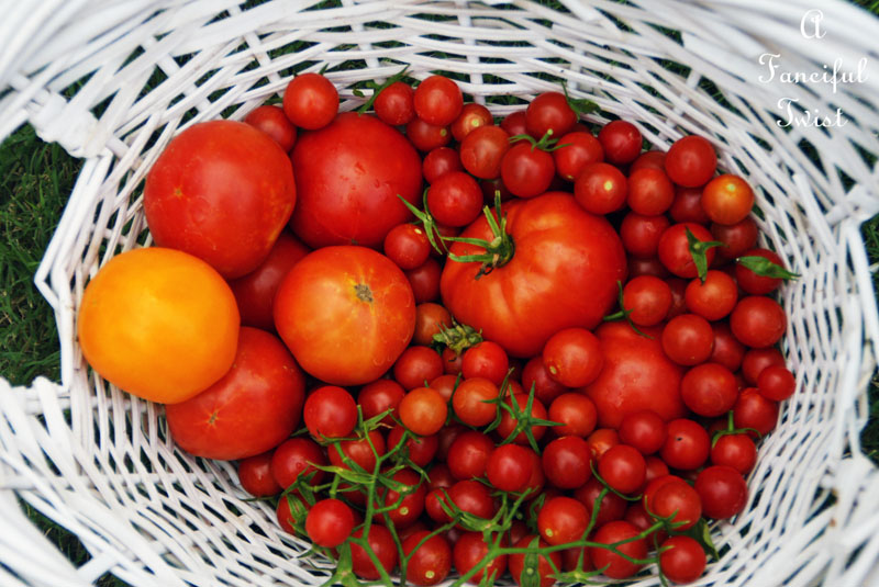 Summer vegetables 2 Summer vegetables 2