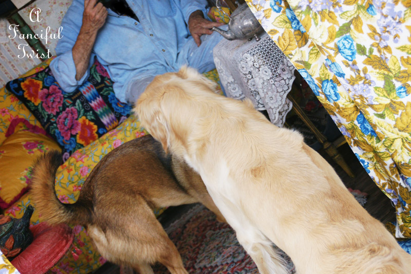 Gypsy living 26 Gypsy living 26