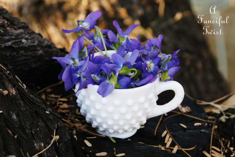 Candied violets 13 Candied violets 13