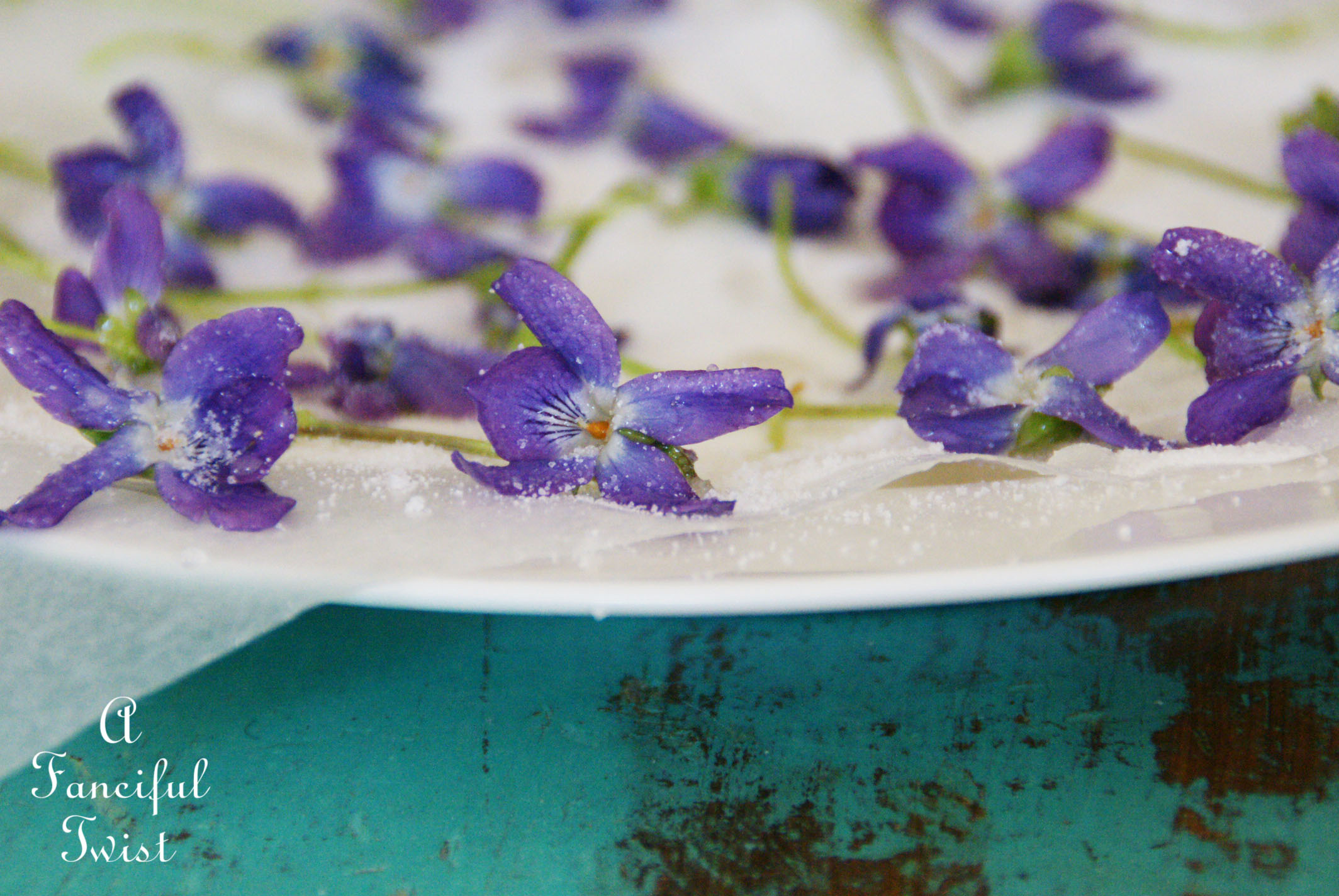 Candied violets 2 Candied violets 2