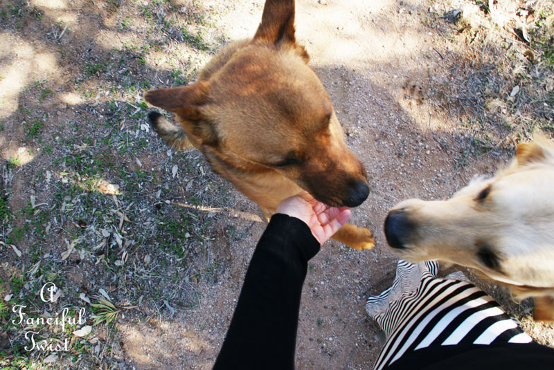 Paris in the spring time 2 Paris in the spring time 2