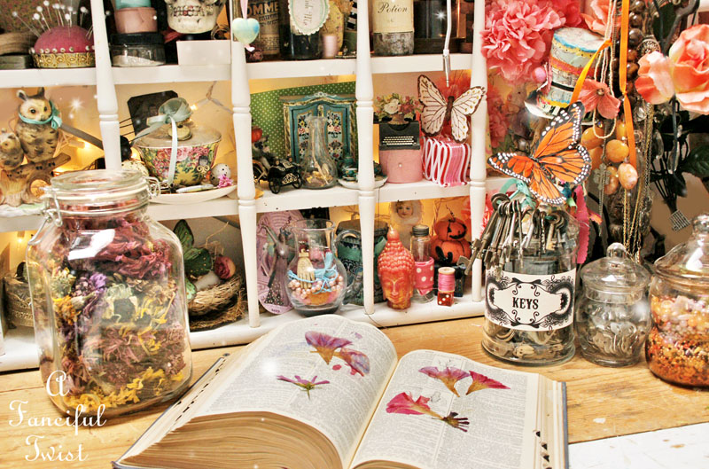 Spring collecting 2 Spring collecting 2